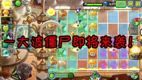 将小鱼救回大海游戏攻略