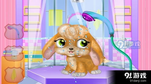 女神变动物小游戏攻略