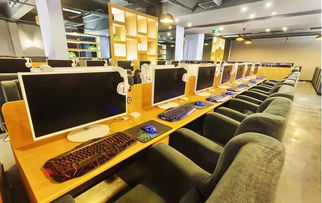 虎族游戏网吧攻略