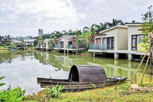 泉林黄金小镇小游戏攻略