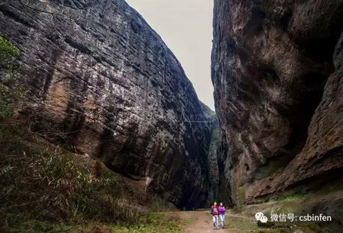 飞奔泸定桥游戏攻略