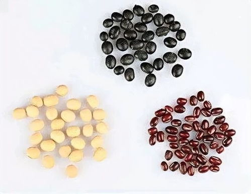 维生素b2带来的浪漫