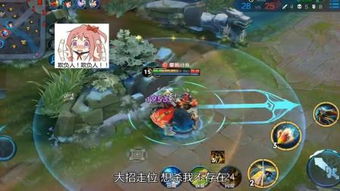 王者大贱谍游戏攻略