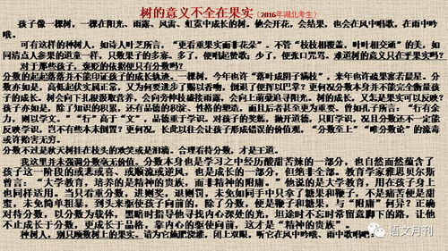 游戏大王的哥哥作文攻略