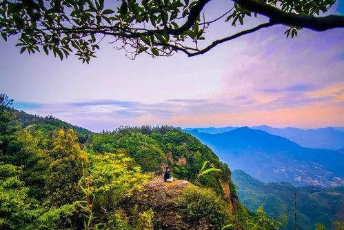 请帮我找到袜子攻略游戏 请帮我找到袜子攻略游戏