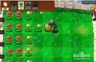 美味植物僵尸的游戏攻略 美味植物僵尸的游戏攻略