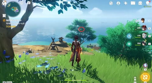 农民的追求女攻略游戏