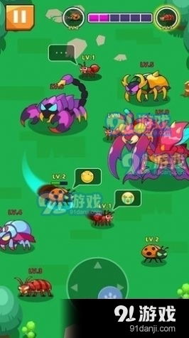 昆虫成群结队游戏攻略