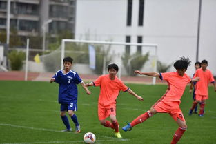 航拍校园足球游戏攻略