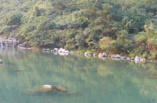 白龙潭攻略游戏大全