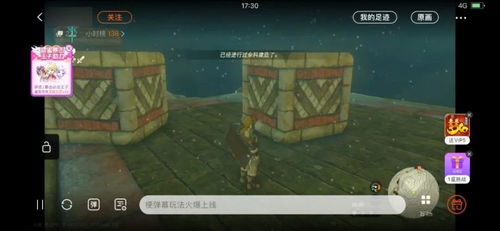 秘密关系游戏攻略黑山君