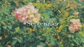 误入藕花深处是什么体验