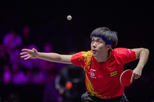 王楚钦谈夺冠:仿佛解开了多年心结 王楚钦谈夺冠:仿佛解开了多年心结