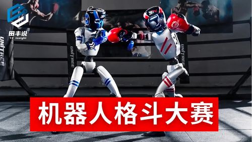 全球首个人形机器人格斗大赛开打