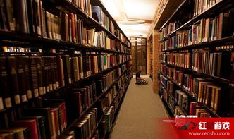 新图书馆游戏攻略