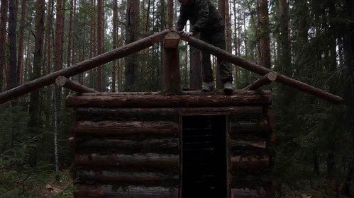 独自在森林里游戏攻略