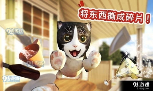 膝上仔猫m游戏攻略 膝上仔猫m游戏攻略