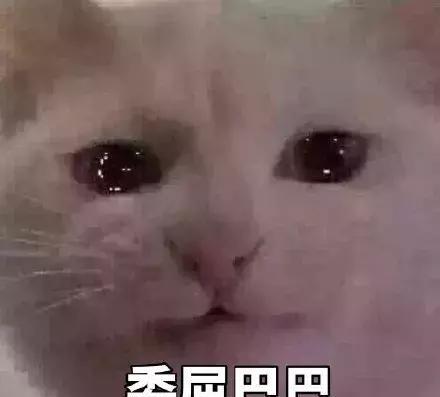 你一定没见过滴滴打蛰吧