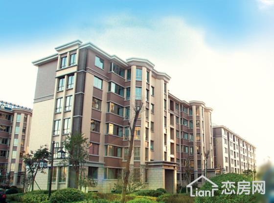 山东一村免费为青年分100㎡楼房