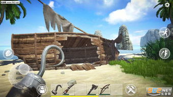 真实的海盗生存游戏攻略