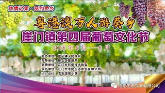 向往的旅游生活攻略游戏