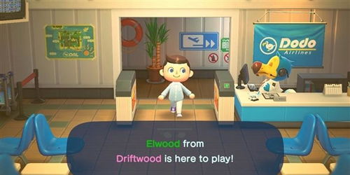 美国森友会游戏攻略 美国森友会游戏攻略