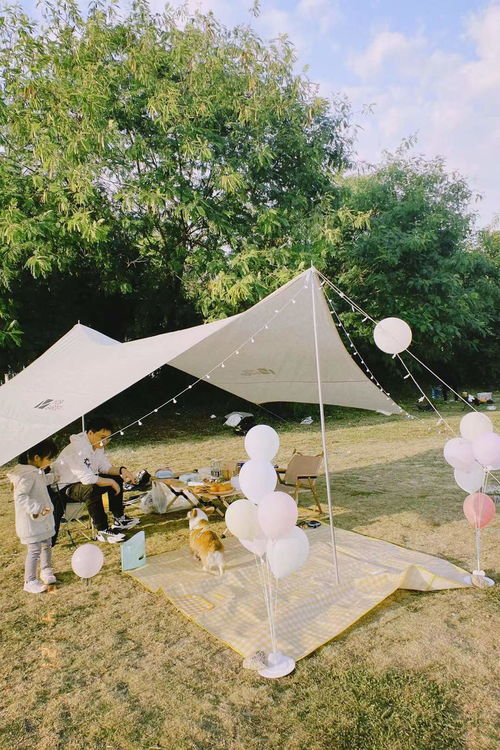 深圳租露营装备攻略游戏