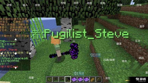 烦人的村民游戏生存攻略