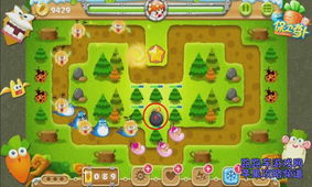 保卫公主游戏团建攻略