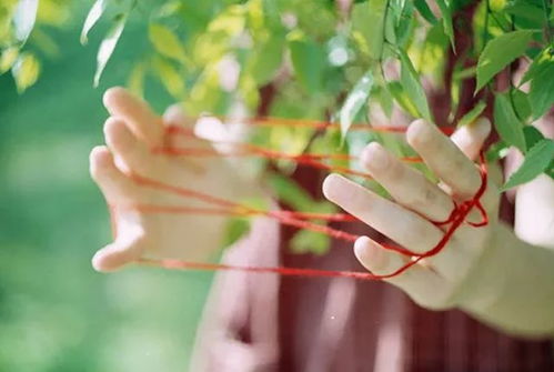 工作受挫 女子每月花780元抱树放松 工作受挫 女子每月花780元抱树放松