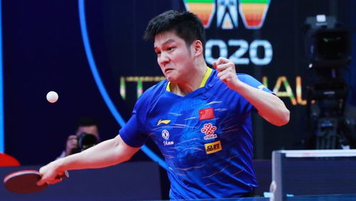 樊振东已加盟德甲联赛