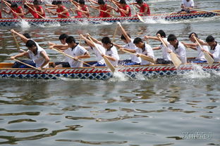 龙舟赛场秒变征婚现场