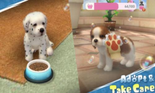 家养狗狗游戏攻略小说