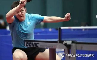 樊振东10天前主动联系德甲俱乐部