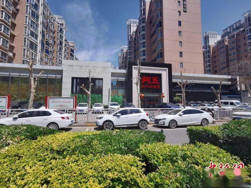 深圳关于6月1日不许下雨的通知