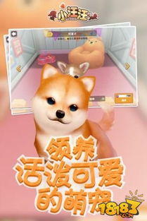 超萌宠物 小游戏攻略