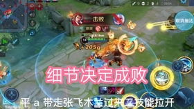 霸王1游戏攻略视频解说