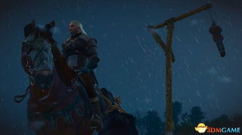 巫师3游戏新浪视频攻略