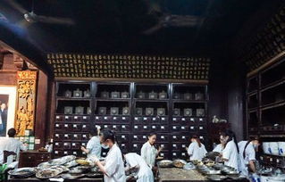 中药博物馆游戏攻略