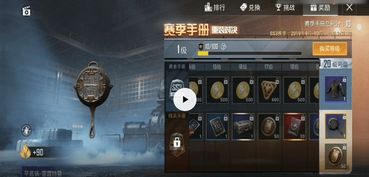 和平精英和游戏攻略视频 和平精英和游戏攻略视频