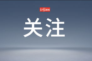 出逃卡皮巴拉豆包回家了 胖了一斤多 出逃卡皮巴拉豆包回家了 胖了一斤多