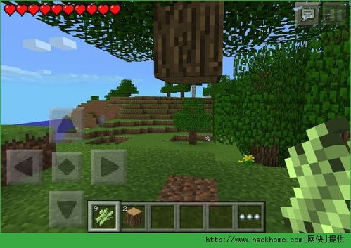 变形生存手机版游戏攻略