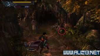 沙漠游戏鬼武者攻略视频