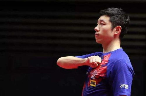 球队经理回应樊振东德甲待遇