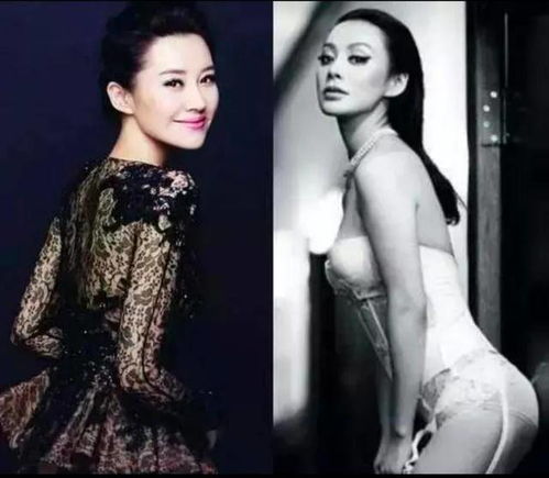 女星宁静卖衣服 一件T恤2000元 女星宁静卖衣服 一件T恤2000元