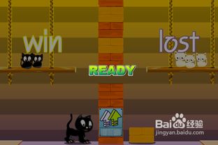 大小猫咪 游戏攻略