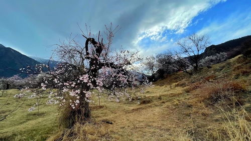 山村欲望游戏攻略图文