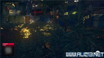 暗杀游戏第4关攻略