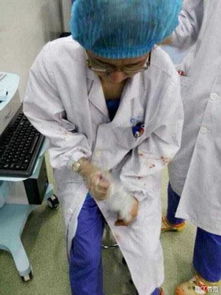 三亚女游客家属:首诊医生肠胃科的