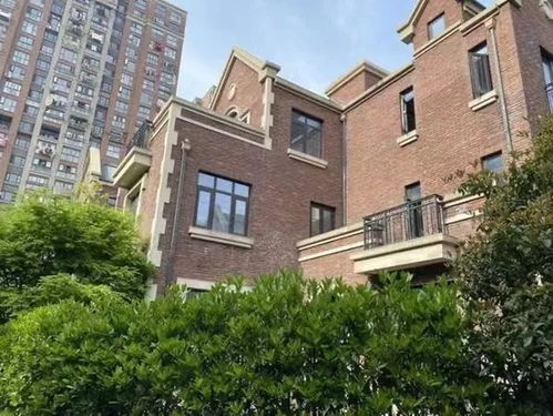 沈阳18栋别墅400万起拍 沈阳18栋别墅400万起拍